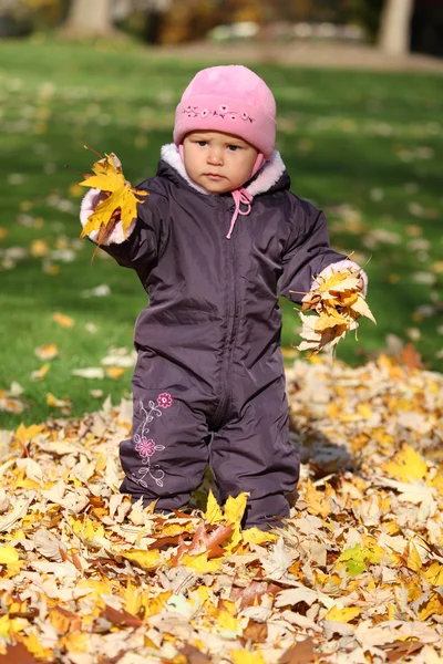 Roztomilé batole v podzimní park — Stock fotografie