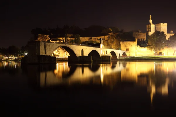 Der päpstliche Palast und die antike Brücke in Avignon, Frankreich — Stockfoto