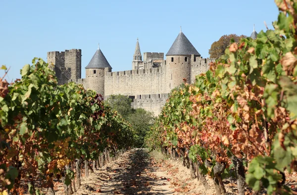 Vista del casco antiguo de Carcasona desde el viñedo. Sur de Francia — Foto de Stock