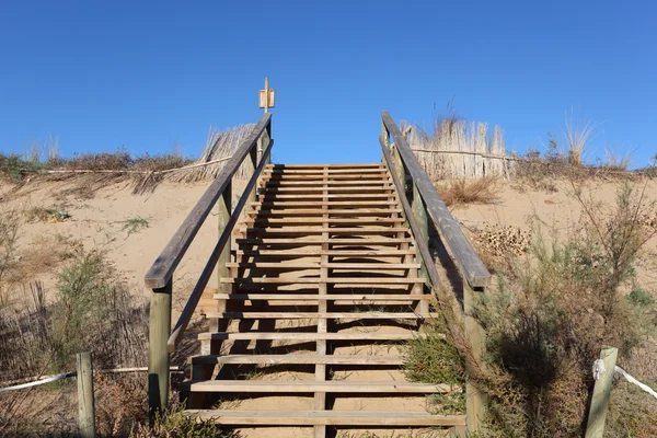 Drewniane schody do góry ot wydmy — Zdjęcie stockowe