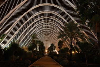 L'Umbracle in the City of the Arts and the Sciences in Valence, Spain clipart