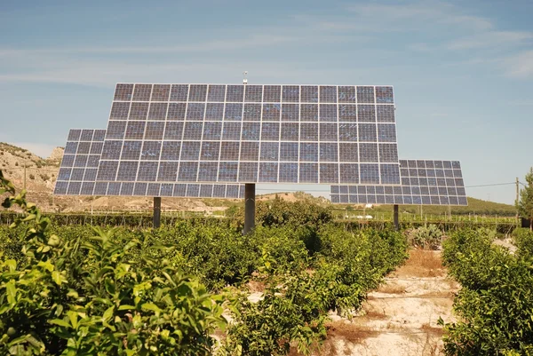 Paneles solares en una plantación de naranjas en España — Foto de Stock