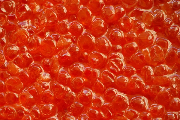 Röd kaviar närbild — Stockfoto