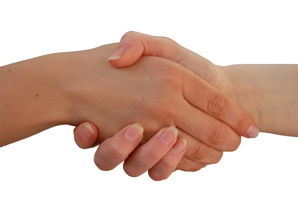 stock image Handshake