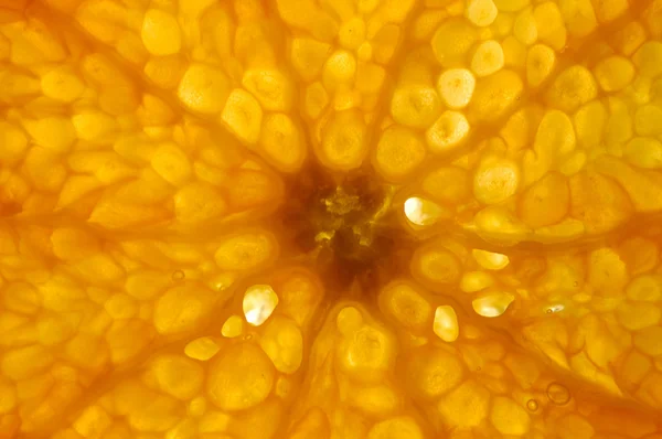 Tranche de fruits à l'orange — Photo