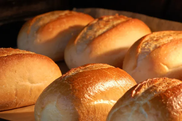 Fresh bread rolls in the oven — Stock Photo, Image