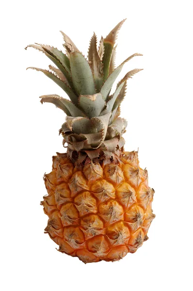 Ananas geïsoleerd uitknippad opgenomen — Stockfoto