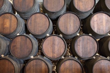 Wooden barrels in a wine cellar clipart