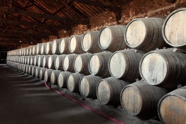 Old wine cellar full of wooden barrels clipart