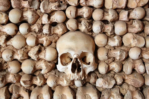 Ściana z ludzkich kości — Zdjęcie stockowe