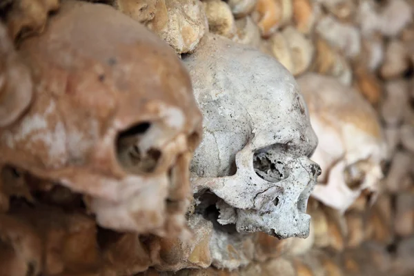 法鲁，葡萄牙在教堂的墙上的头骨 — 图库照片