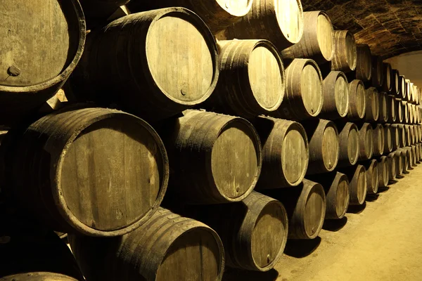 stock image Old wine cellar full of wooden barrels