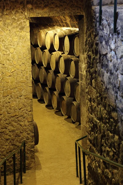 Holzfässer in einem alten Weinkeller — Stockfoto