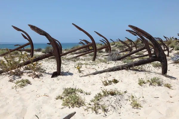 Ancoraggi sulla spiaggia in Algarve, Portogallo — Foto Stock
