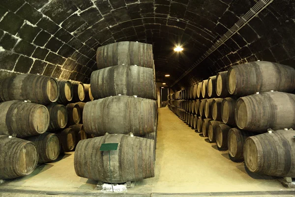 Old wine cellar full of wooden barrels — Stock Photo, Image