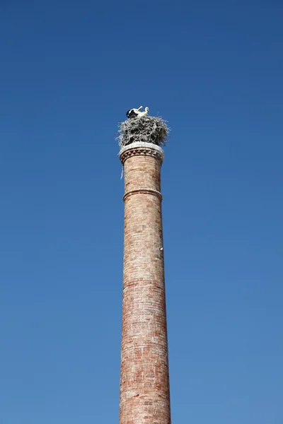 鹳巢顶部在老烟囱的法鲁，葡萄牙 — 图库照片