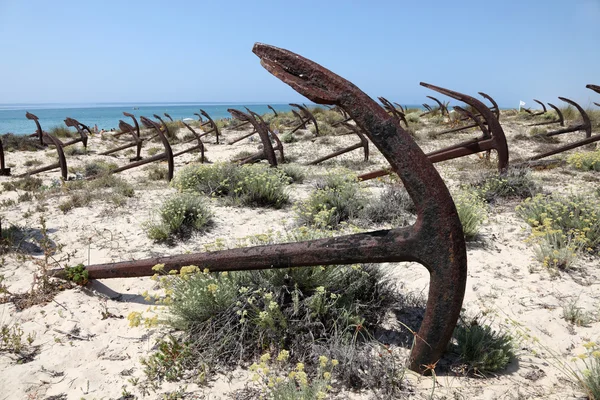 Anchors on the beach in Tavira, Algarve Portugal — Stok fotoğraf