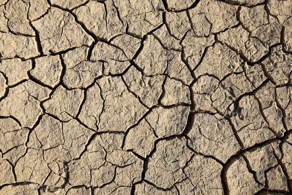 Suelo seco agrietado — Foto de Stock