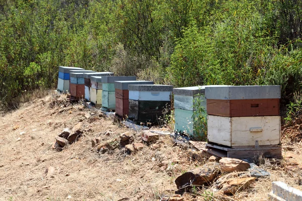 Včelín boxy s včely v Portugalsku — Stock fotografie