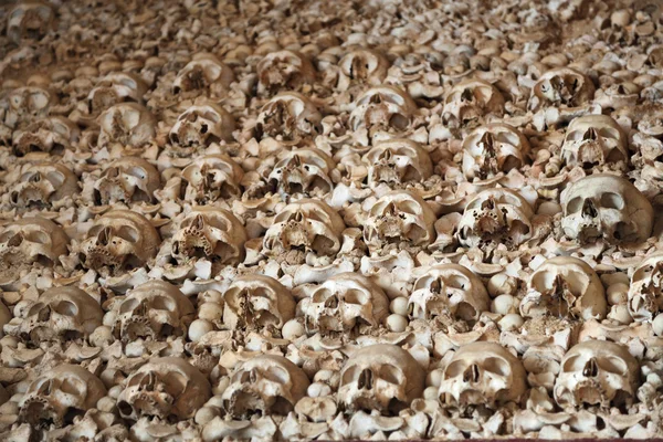 Pared de huesos y cráneos humanos. Capilla Capela de Ossos en Faro, Portugal — Foto de Stock
