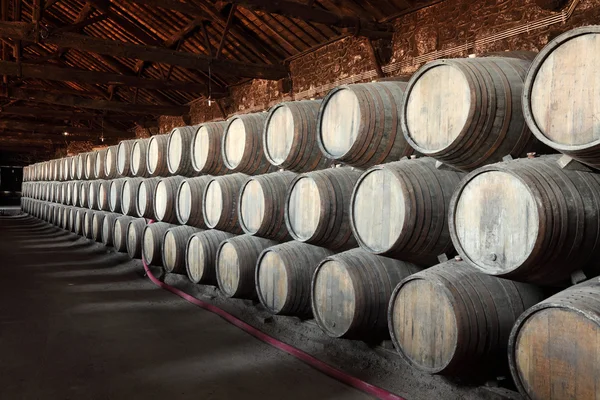 Old wine cellar full of wooden barrels — Stock Photo, Image