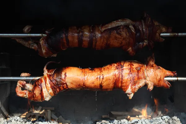 Świnie na grill — Zdjęcie stockowe