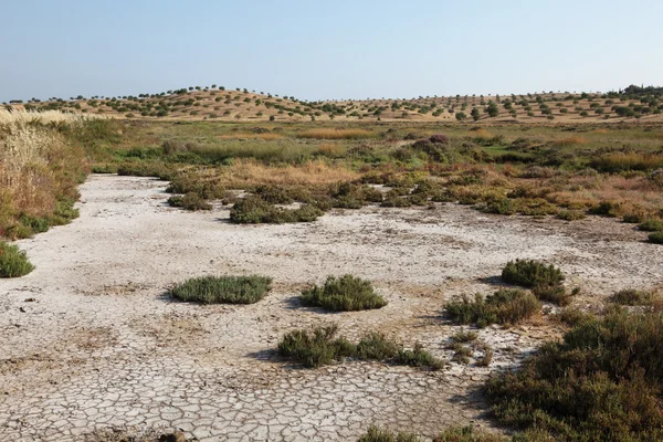 Natural Preserve near Castro Marim, Algarve, Portogallo — Foto Stock