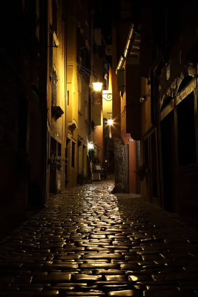 Street at night in the old town of Rovinj, Croatia — Stock Photo, Image