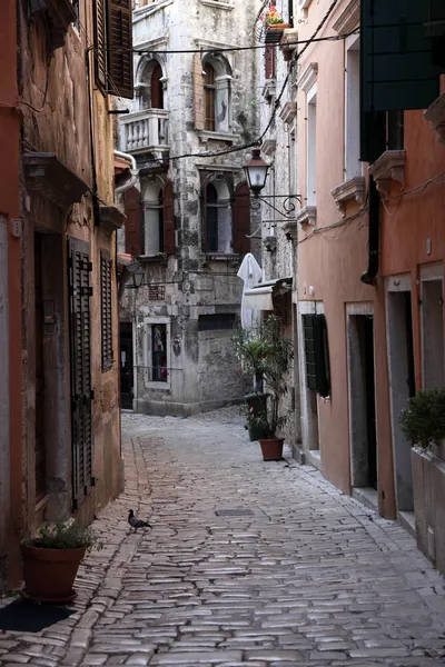 Strada nel centro storico di Rovigno, Croazia — Foto Stock