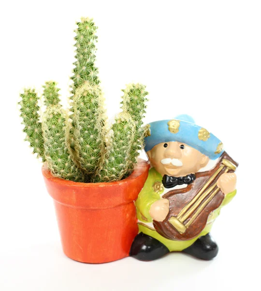 Decorative cactus and mariachi player — Stock Photo, Image