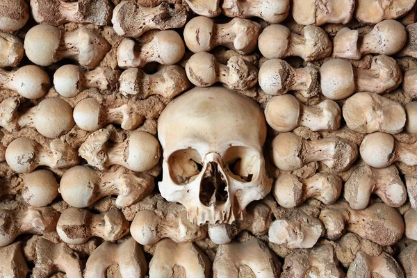 Wall of human bones in a chapel in Faro, Portugal — Stock Photo, Image