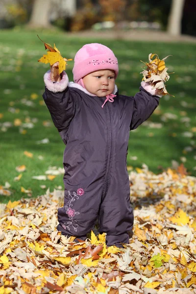Cute toddler playing in an autumnal park — Stock Photo, Image