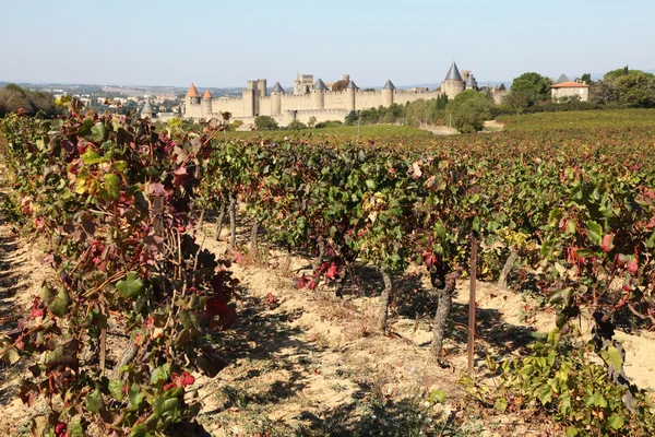 View of the old town Carcassonne from the vineyard — Stock Photo, Image