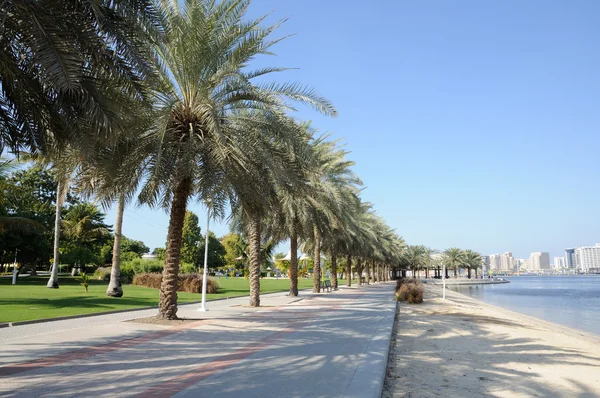 在阿拉伯联合酋长国迪拜河滨水公园 — 图库照片