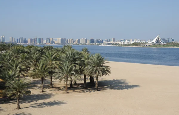 Palmy na plaży w Dubaju — Zdjęcie stockowe