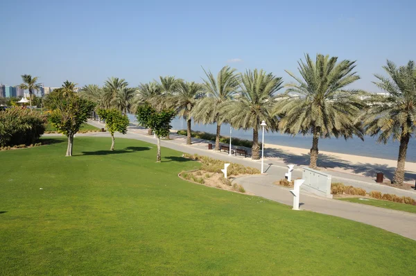 Dubai Creek recreational park, United Arab Emirates — Stock Photo, Image