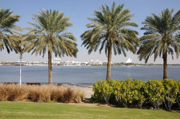 Пальмы на Дубайском ручье, Объединенные Арабские Эмираты — стоковое фото