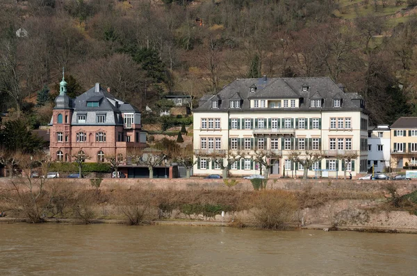 Domy na břehu řeky neckar, Heidelberg, Německo — Stock fotografie