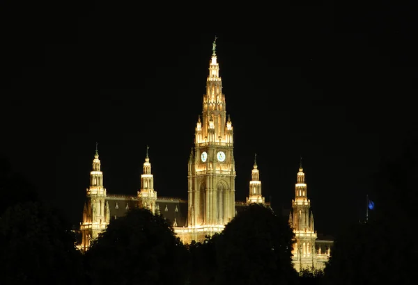 Здание правительства Ратхауса в Вене ночью — стоковое фото