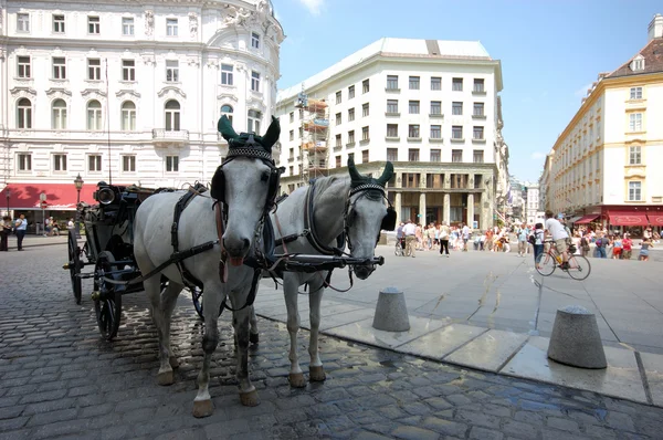 Paard-gedreven cab in Wenen, Oostenrijk. — Stockfoto