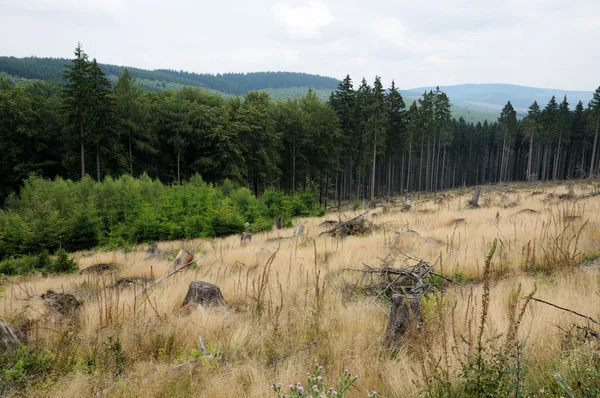 Lesy a louky v siegerland, Německo — Stock fotografie