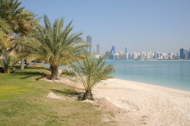 Beach in Abu Dhabi clipart