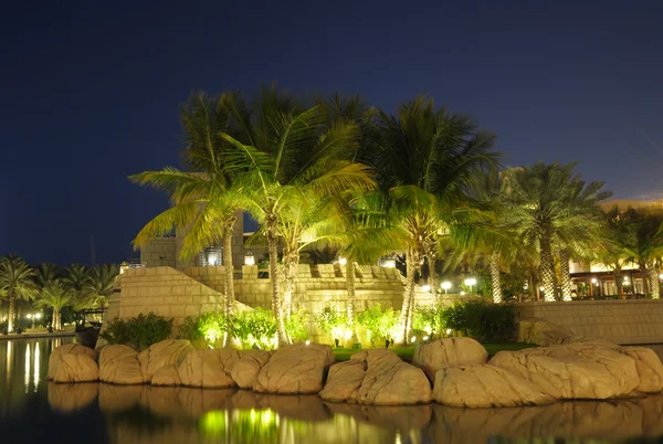 Osvětlené palmy v Dubaji — Stock fotografie