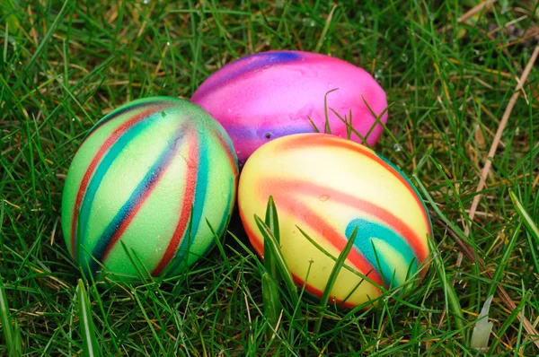 Colorful easter eggs in green grass — Stock Photo, Image