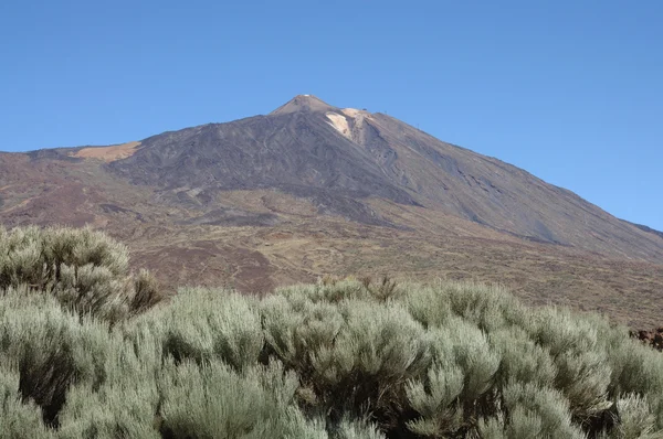 Volcano Pico de Teide, Canary Island Tenerife, Spain — Stock Photo, Image
