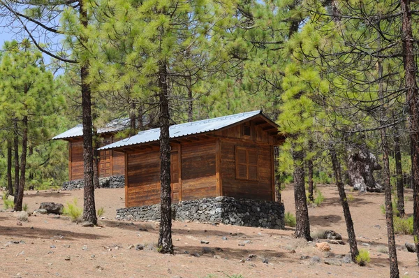 Cabanas de madeira na floresta — Fotografia de Stock