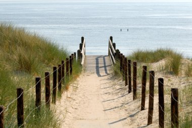 Path to the beach, Netherlands clipart