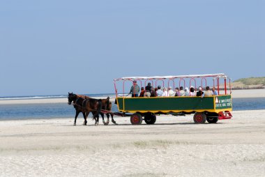 Carriage drawn by four horses with tourists in the Netherlands clipart