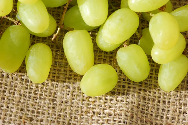 Vine grapes on burlap — Stock Photo, Image