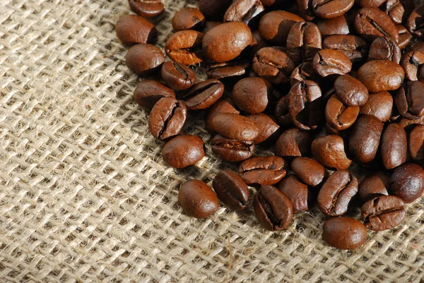 Kaffeebohnen auf Büschel — Stockfoto